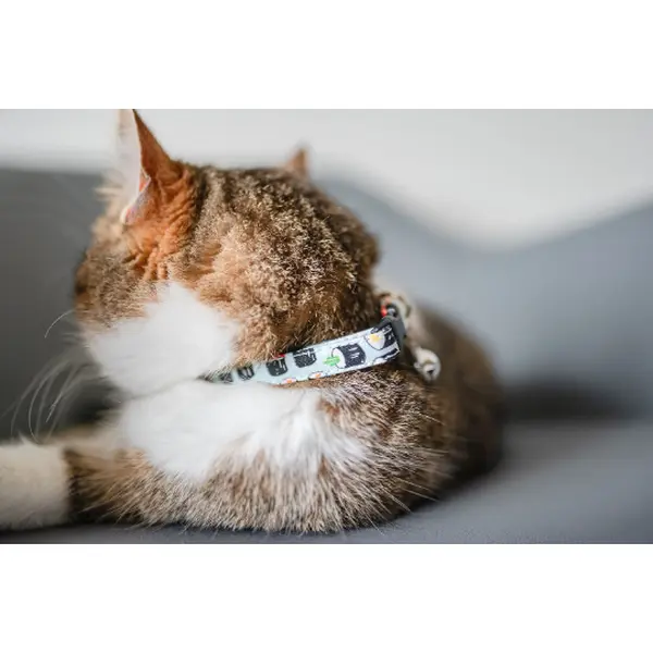 Personalized Cat Collar | Sushi Cat Collar | Duke & Fox®