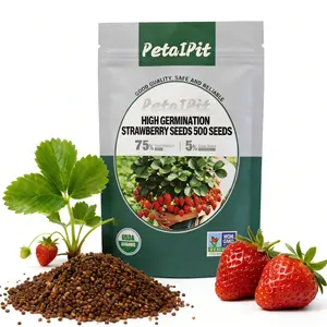 500 Cream Strawberry Seeds-Fruits Year-Round in ldeal Temperatures, Great for Pots or the Ground, indoors or Outdoors