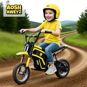 24V Kids Electric Ride-on Toy Car with Headlight & Taillight, 15 MPH Off-Road Motorcycle, 3-Speed Adjustable, Twist Throttle, for Ages 8+, Max 154 lbs