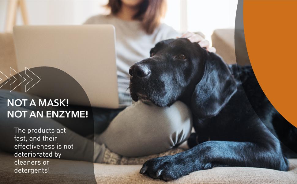 Dog Odor-Off Pet Odor Eliminator Spray Bottle – Ready to Use – Dog Urine for Home, Glandular Secretions, Feces Odors (22 oz)