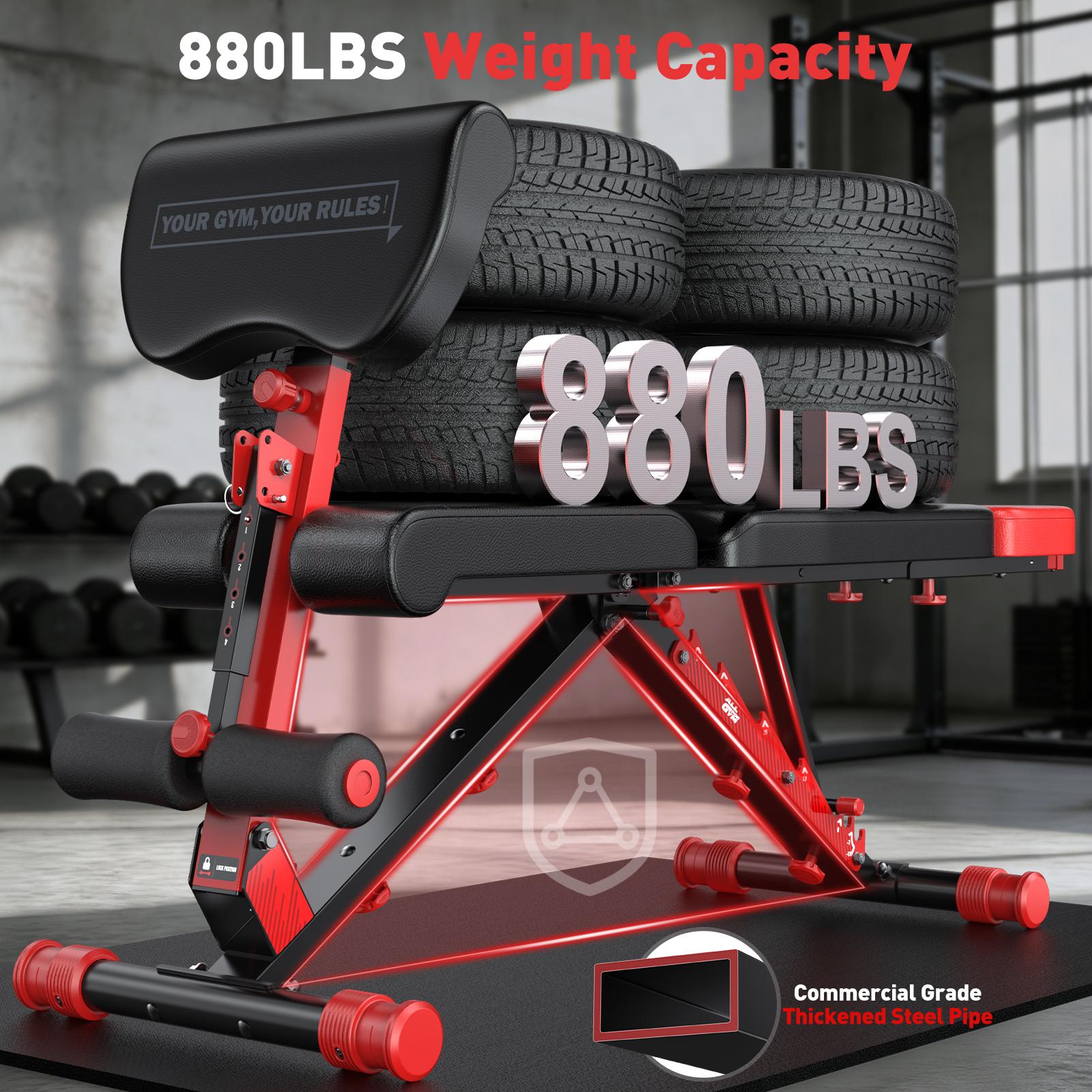 Bearbro Adjustable Weight Bench with Heavy Tension Elastics for Home Gym Exercise Portable Strength Training Equipment