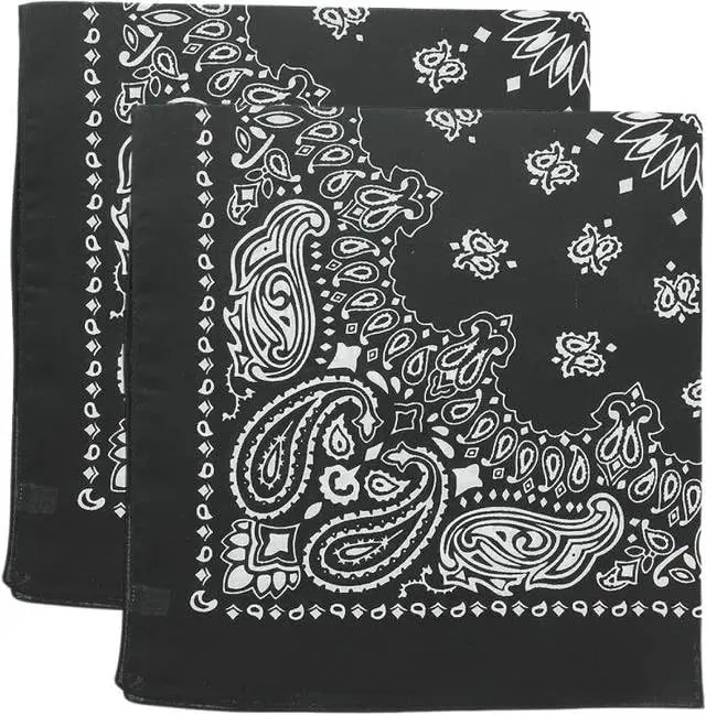 Trainmen 100% Cotton Paisley Bandana Style Head Scarves, 2-Pack Head Wraps Do-Rag Cover, 22" x 22", Bandana Head Wrap