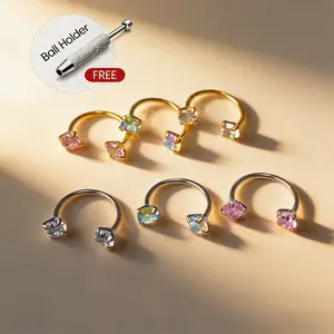 18G(1.0mm) 2pcs Horseshoe Nose Hoop Internally Threaded Gems Nose Ring Earring  Cartilage Helix,Piercing Jewelry value pack horseshoe septum piercing  with Holder nose  rings 2 pc nose ring hoop pierced  jewelry piercings  kits