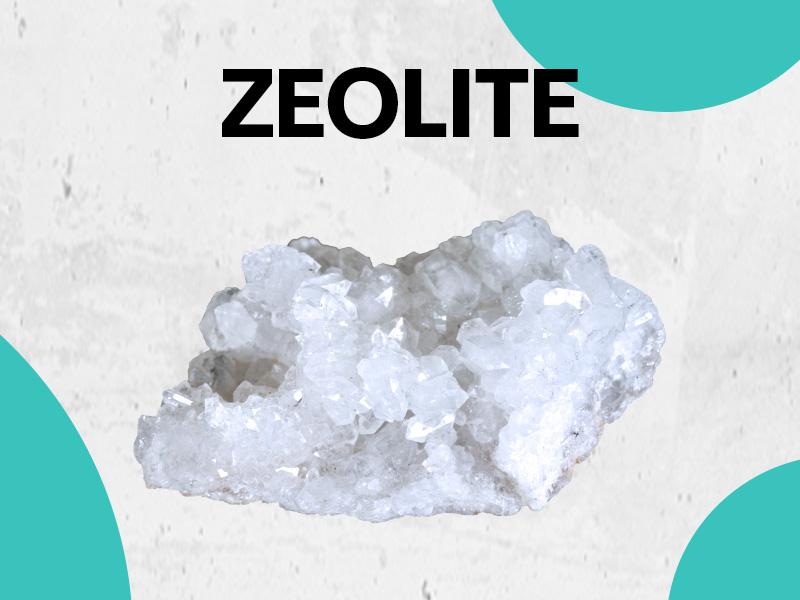 Zeolite Kids Detox Gummies (Mixed Berry Flavor) - Zoyava 9-in-1 Kid Supplement for Brain, Immune, Vitamin, and Overall Healthcare - 60 Edible Gummies - Made in USA - (For Ages 3+)