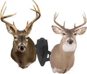 Trophy Mount Bone Bracket Small/Medium Size Dual Shoulder Mount with 8-inch Swing Arm Skull Hanging Display Stand Powder Coated Steel