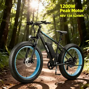 ZNH 26'' Fat Tire Electric Bike for Adults,1000W Peak Powerful Brushless Motor,Electric Mountain Bike w 48v 13ah Removable Battery,Max 20mph Snow Bike for Men,UL2849,Black