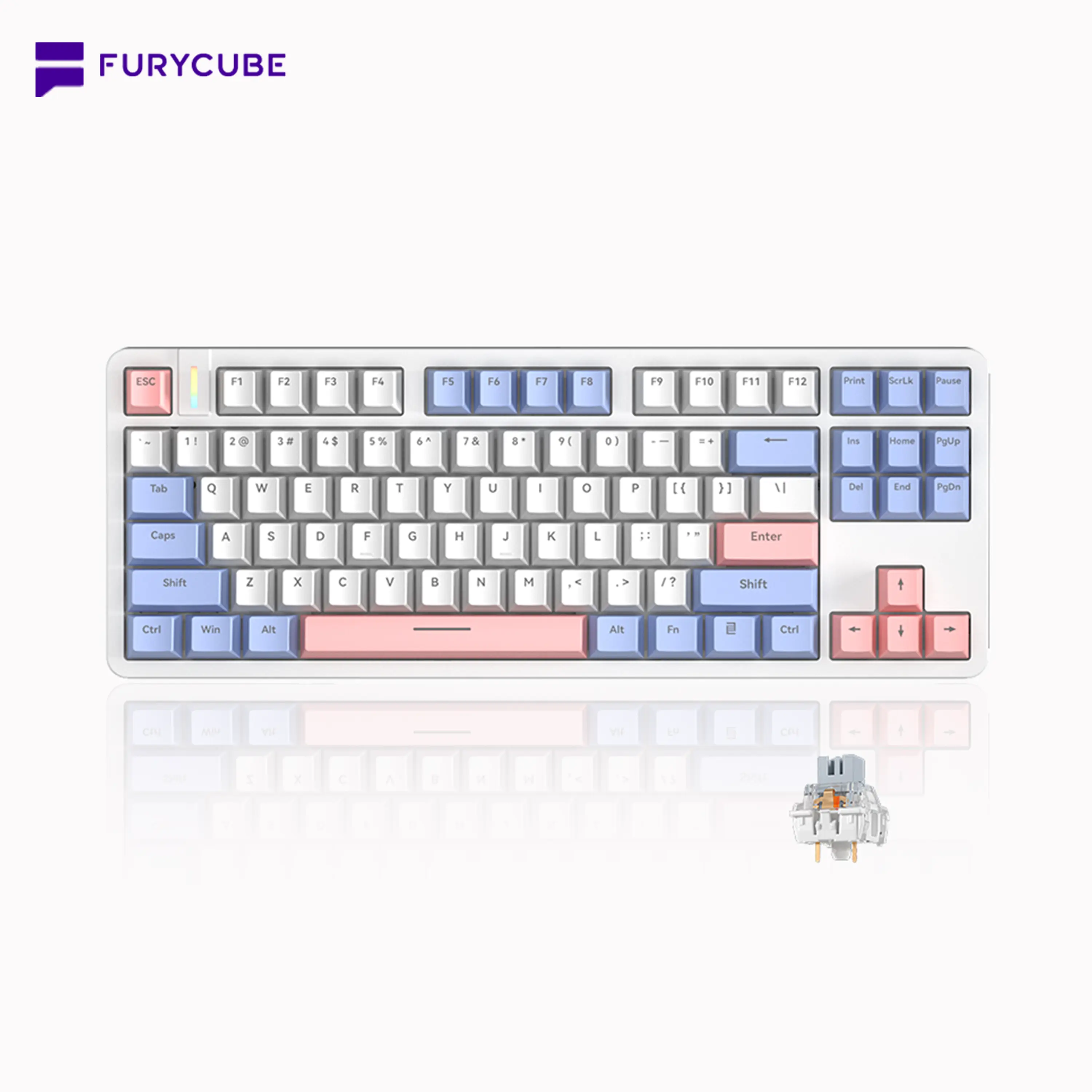 [Clearance Sale] FURYCUBE G87 Compact Gaming Keyboard, 87-Key Gasket Structure, Hot-Swappable Switch, PBT Keycaps, Rainbow Backlight, USB-C Wired, Office/Gaming Computer Accessory, Summerwins Budget Gift