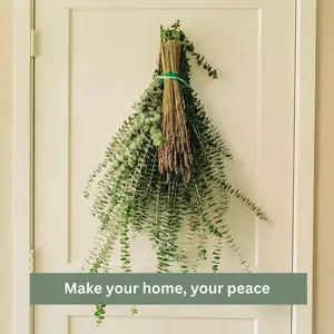 Shower Eucalyptus + Lavender | San Diego [Twine Included] Organic Natural Baby Blue Eucalyptus Leaves | Shower Plant | Hanging Plant Decor