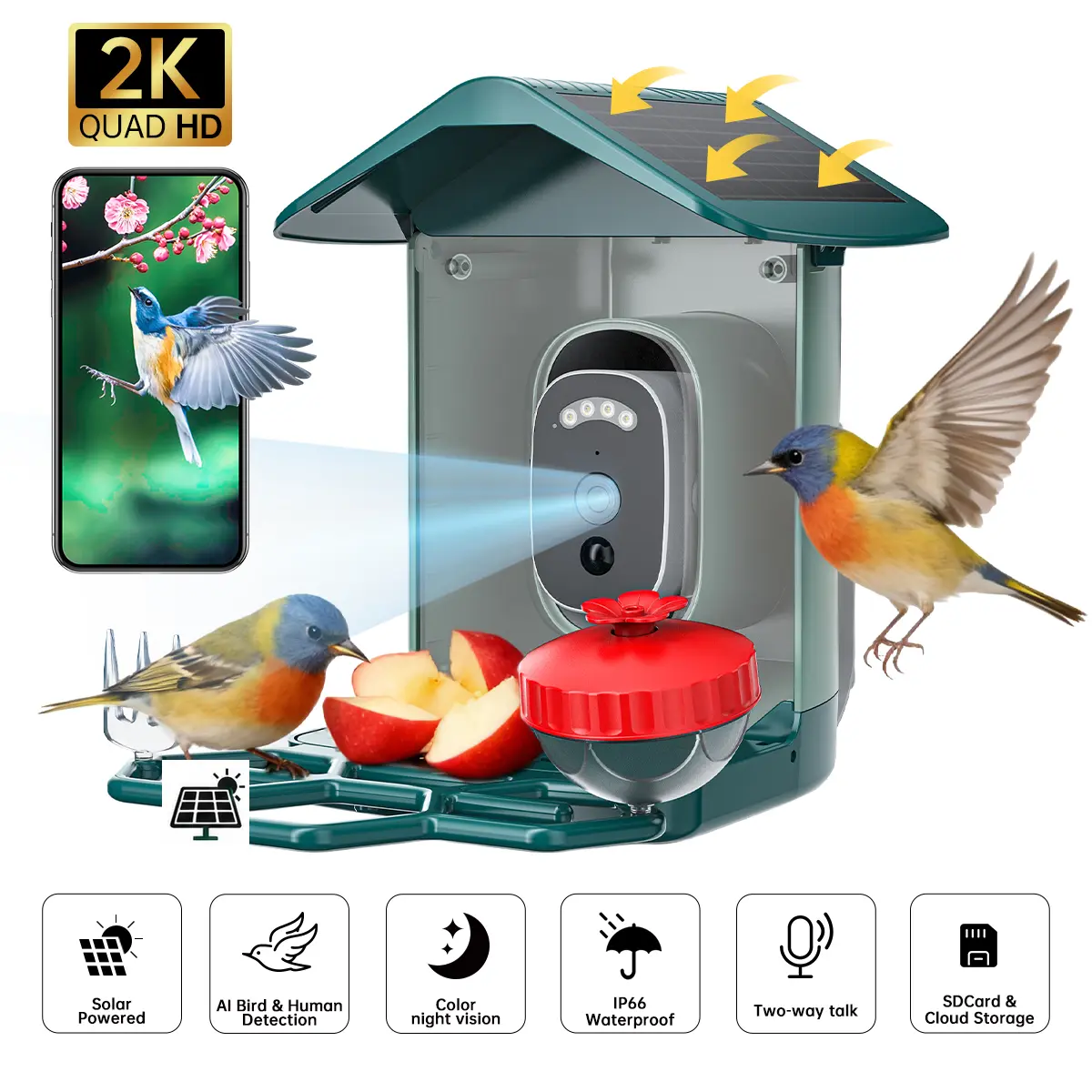 【JOOAN 2.5K HD Solar Smart Hummingbird Feeder Camera 】with AI Bird Recognition, HD Night Vision, IP66 Waterproof, Anti-Ant & Anti-Bee Design, Auto Photo Capture with Instant Alerts, Ideal for Outdoor Gardens & Patios, Perfect Gift for Bird Lovers