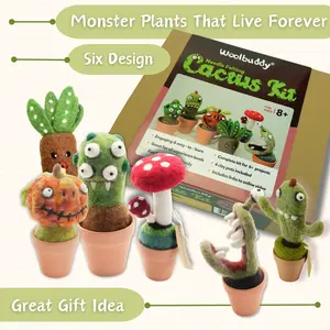 Needle Felting Cactus Kit for Beginners | Woolbuddy