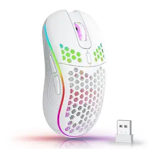 2.4G Wireless Gaming Mouse RGB Lighting Mouse  with Adjustable DPI Ergonomic Honeycomb Design for Desktop Laptop