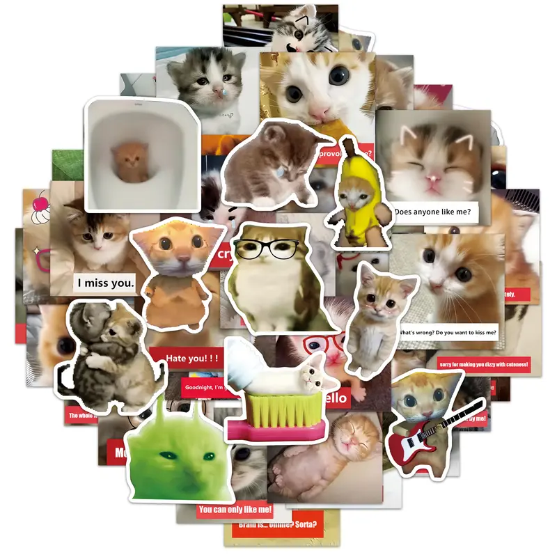 Creator Cat Meme Sticker Pack | 50 PCS Waterproof Easy Re-Use for Water Bottle Laptop Phone Gifts for Child Friends Lovers Stickers for messages
