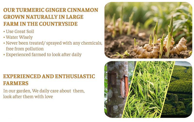 Turmeric Tea Herbal Anti-Inflammatory Tea, 100% natural, eco-friendly tea bags. Contains turmeric, ginger, and cinnamon. Biodegradable tea bags. Sugar-free, caffeine-free, gluten-free, vegan healthy beverage. good herbal remedy