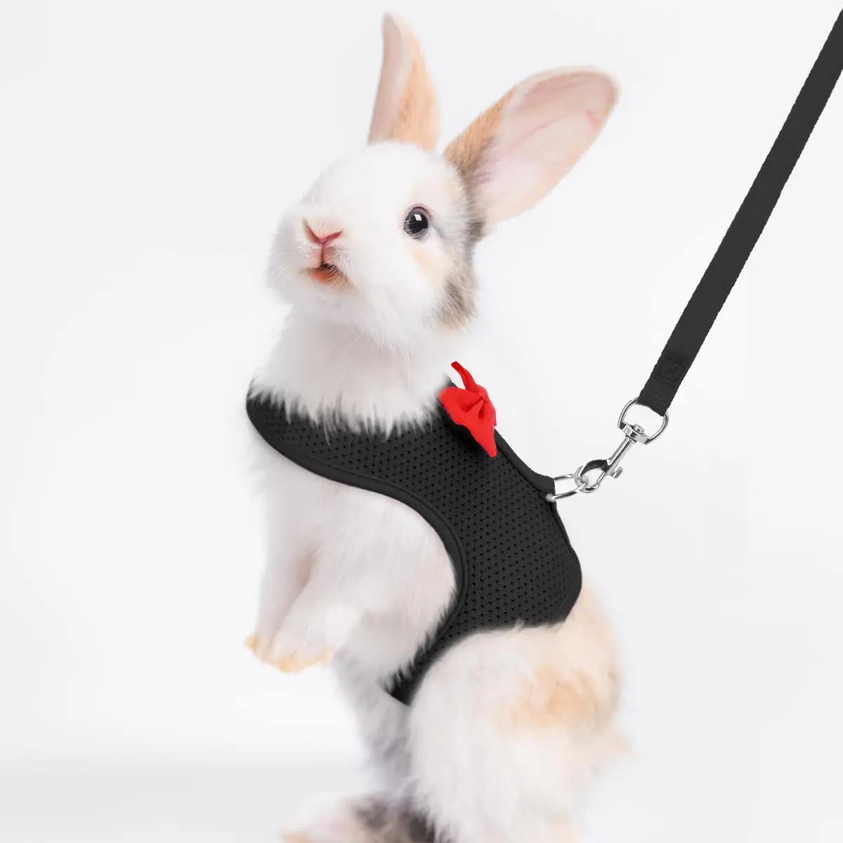 Rabbit Harness and Leash Set - Polyester Mesh Small Pet Chest Vest with Adjustable Fit, Cute Bow Decor, Essential Small Animal Supply