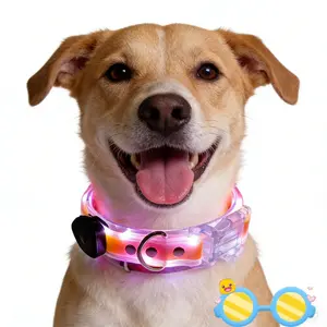 USB Rechargeable LED Dog Collar & Leash Set, Light Up Glow in the Dark Dog Collar for Night Walking, Reflective Safety Collar & Leash for Small Medium Large Dogs