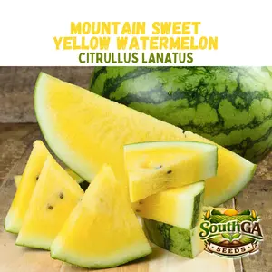Mountain Sweet Yellow Watermelon Seeds (Citrullus lanatus)
