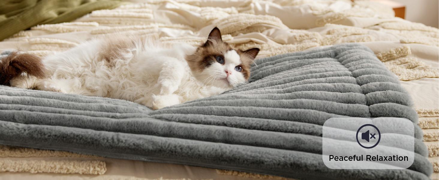 Bedsure Self Warming Pet Bed, Small Self Heating pet Crate Pad, No Electricity, Thermal Extra Warm Mat Indoor & Outdoor, Non-Slip & Washable Noiseless Animal, TikTokShopBlackFriday Choice, Foot Warmer, Warming Pad, Desk Foot Warmer