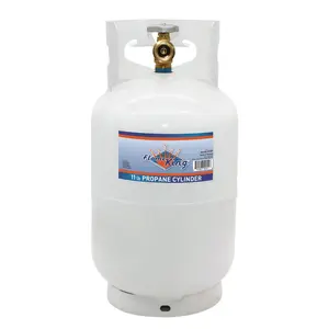 Flame King 10LB EMPTY Steel Propane Tank LP Cylinder with Type 1 Overflow Protection Device Valve, Great for Camping, Fire Pits, Heaters, Grills, Overlanding, White