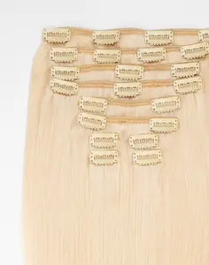 14" Regular Clip-In Straight | #10N Lightest Blonde