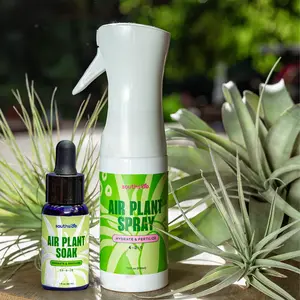 Southside Plants Air Plant Fertilizing Spray and Soak 7.3 oz - Gentle Mist Formula for Miracle Feed & Grow - Organic Formula for Houseplants