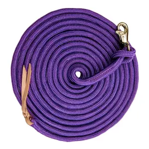 10' Clinician Equine Training Lead