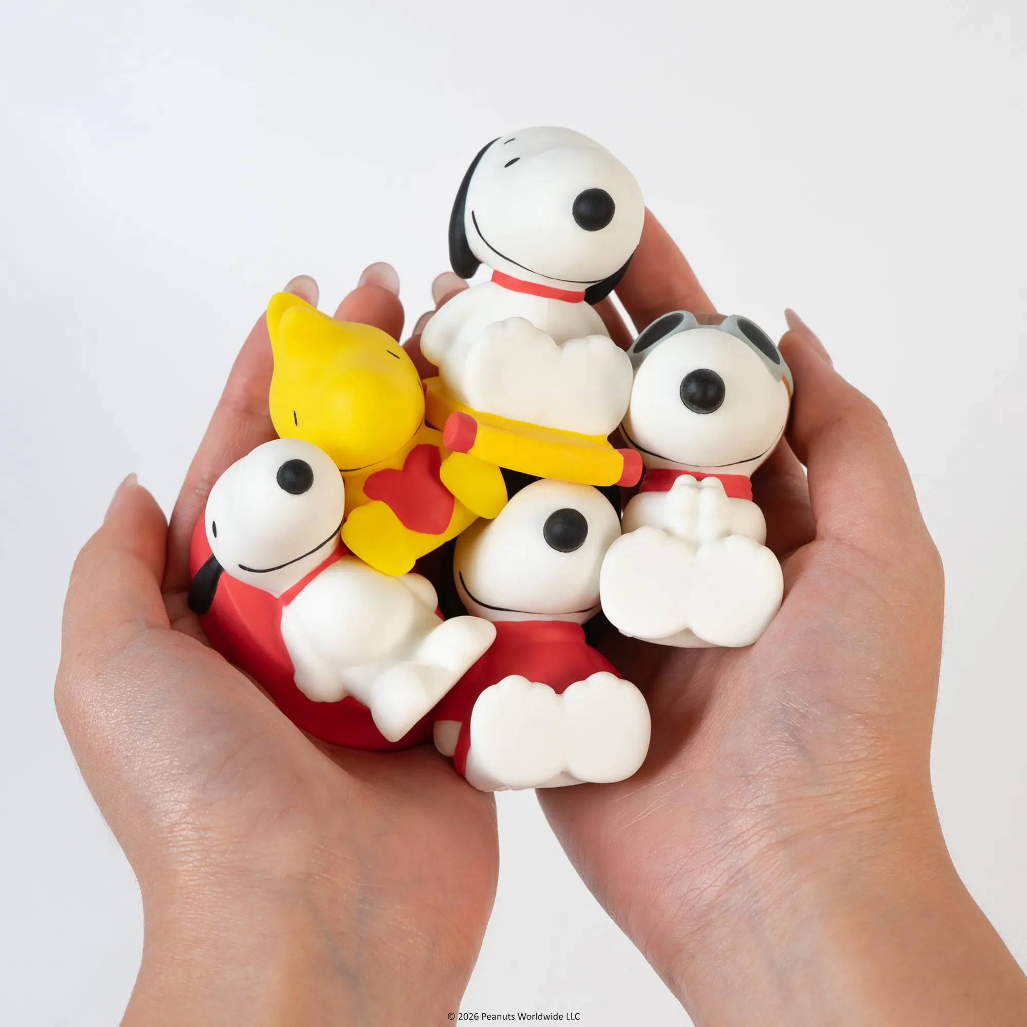 Peanuts SquiSHU Capsule - A Day with Snoopy (Series 1)