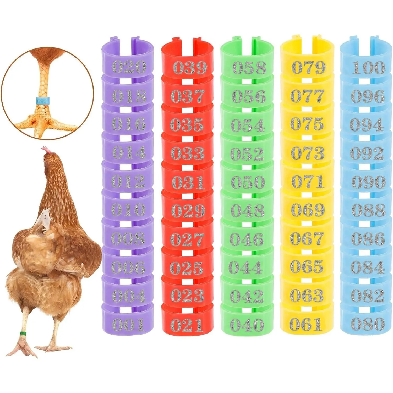 16mm 100 count Chicken Leg Rings - Colorful Readable Numbered Chicken Identification Leg Bands, Durable Poultry Leg Bands Clip on Leg Rings for Ducks Chicks Chicken Guinea Pigeons Goose Gamefowl Turkey