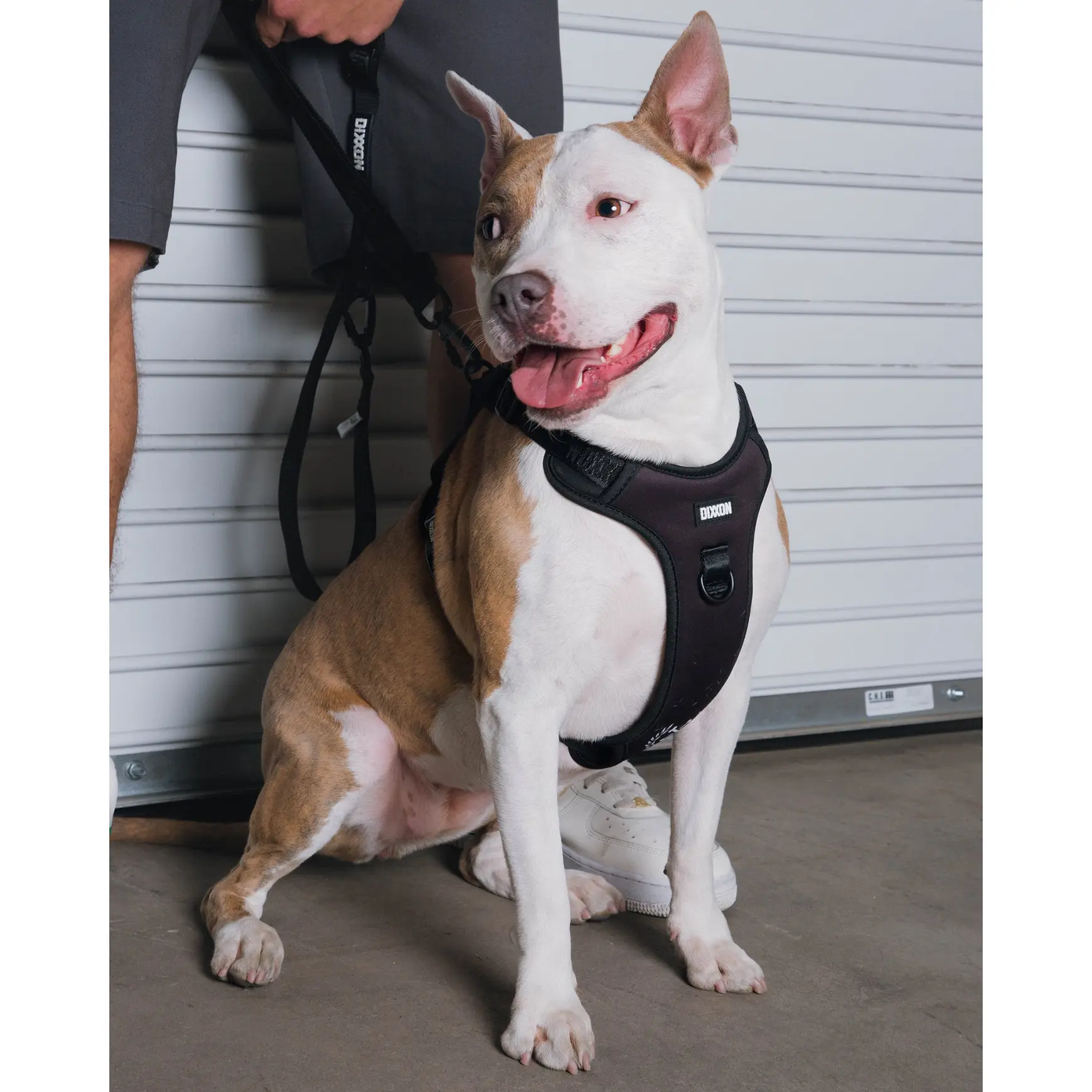 Dixxon Mesh Dog Harness - Black