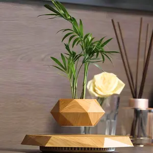 MAGECMOON Magnetic Levitation Floating Flower Pot – 360° Rotating Flower Pot with Magnetic Levitation Technology suitable for air plants and potted plants enthusiasts a modern home and office decoration and a perfect Mother's Day gift