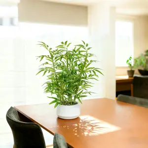 Artificial Bamboo Tree, 1.5ft with White Planter, 8 Trunks and Realistic Leaves – Perfect for Home, Office, Indoor & Outdoor Décor