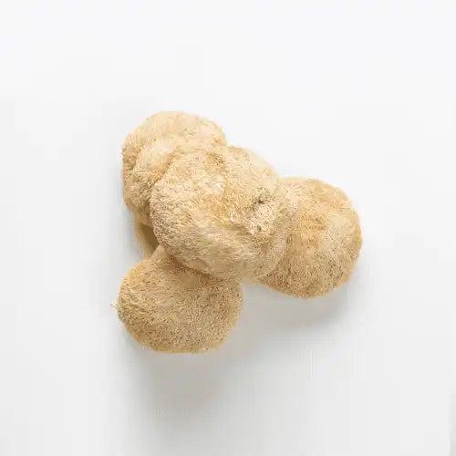 GNGR Energy Booster Shot - Organic Ginger Shots with Lions Mane 75mg Natural Caffeine Green Tea Turmeric Vitamin D & Zinc Natural Immune and Digestive Support USDA Organic Kosher Non-GMO 2 oz Shots 12 Pack - Beverage Sport Juice