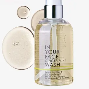 GINGER MINT WASH