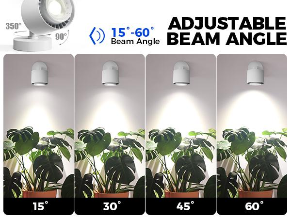 Barrina TR40a Track Grow Light for Indoor Plants, 40W Hanging Grow Lights with Adjustable Beam Angle (15°-60°), 5000K Full Spectrum Wall-Mounted Plant Light with Timer for Growing Houseplants,1-Pack
