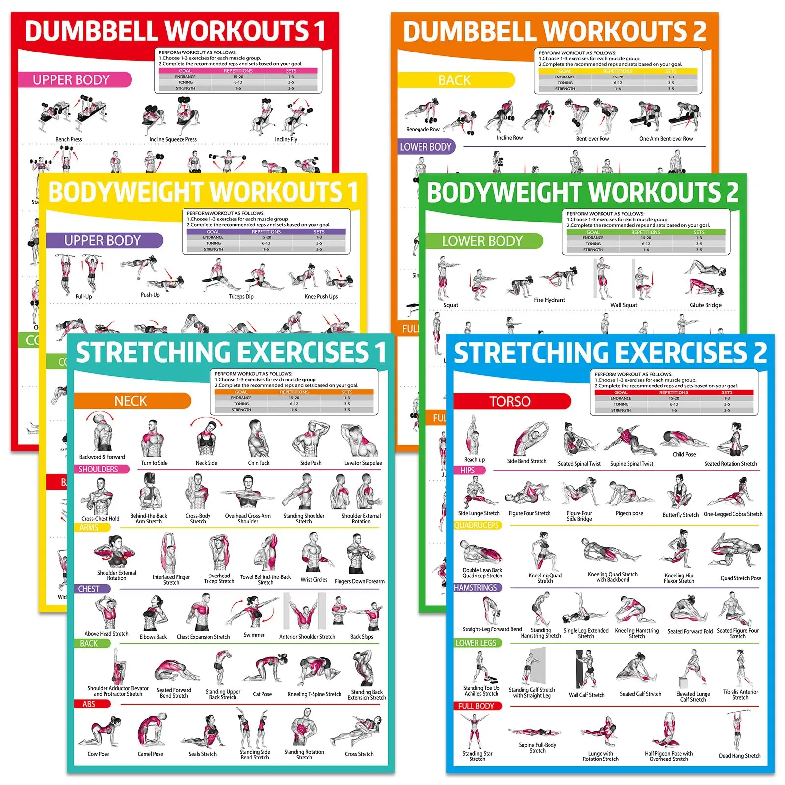 GISGFIM 6PCS Office Stationery Fitness Charts - Dumbbell Guides, Bodyweight Workouts, Stretching References for Planning, Vibrant Prints, Long-Lasting Visibility, Maximize Results, For All Users