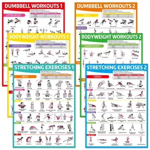 GISGFIM 6PCS Workout Posters for Home Gym Dumbbell Bodyweight Stretching Workout Exercise Chart