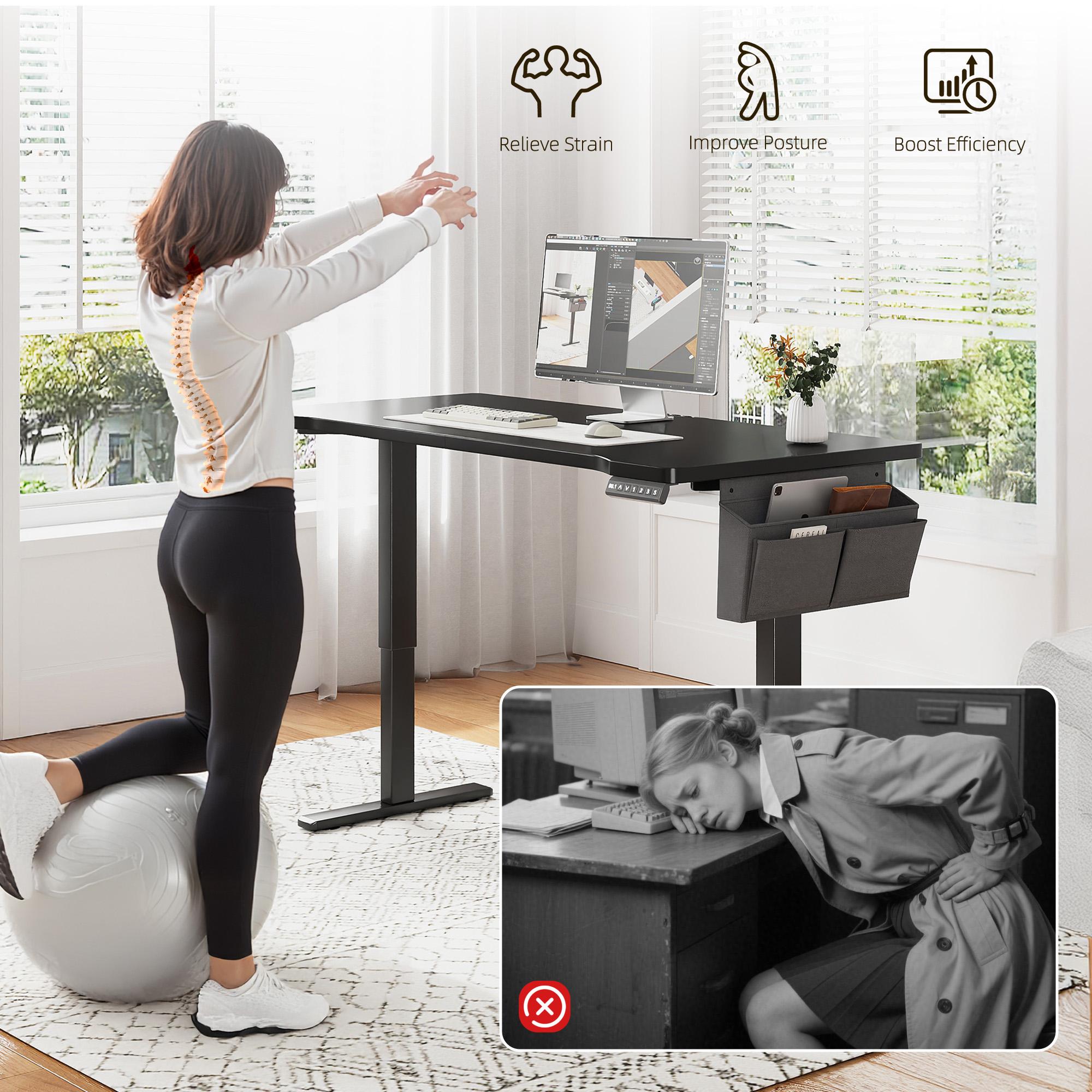 【Smart Memory Height】Raybee Electric Standing Gaming Desk with LED 56'' Sit Stand Up Desk Adjustable Height 3 Memory Preset Computer Home Office Desk with Side Pocket