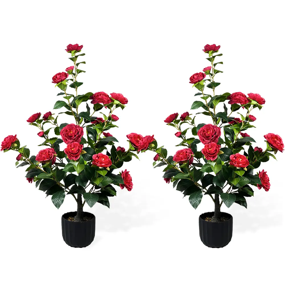 2-piece red camellia with flower pot