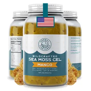 Herbal Vineyards Wildcrafted Mango Sea Moss Gel 16 Oz Jar - Made with Dried Seaweed & Fresh Sea Vegetables, Seamoss - Made in USA