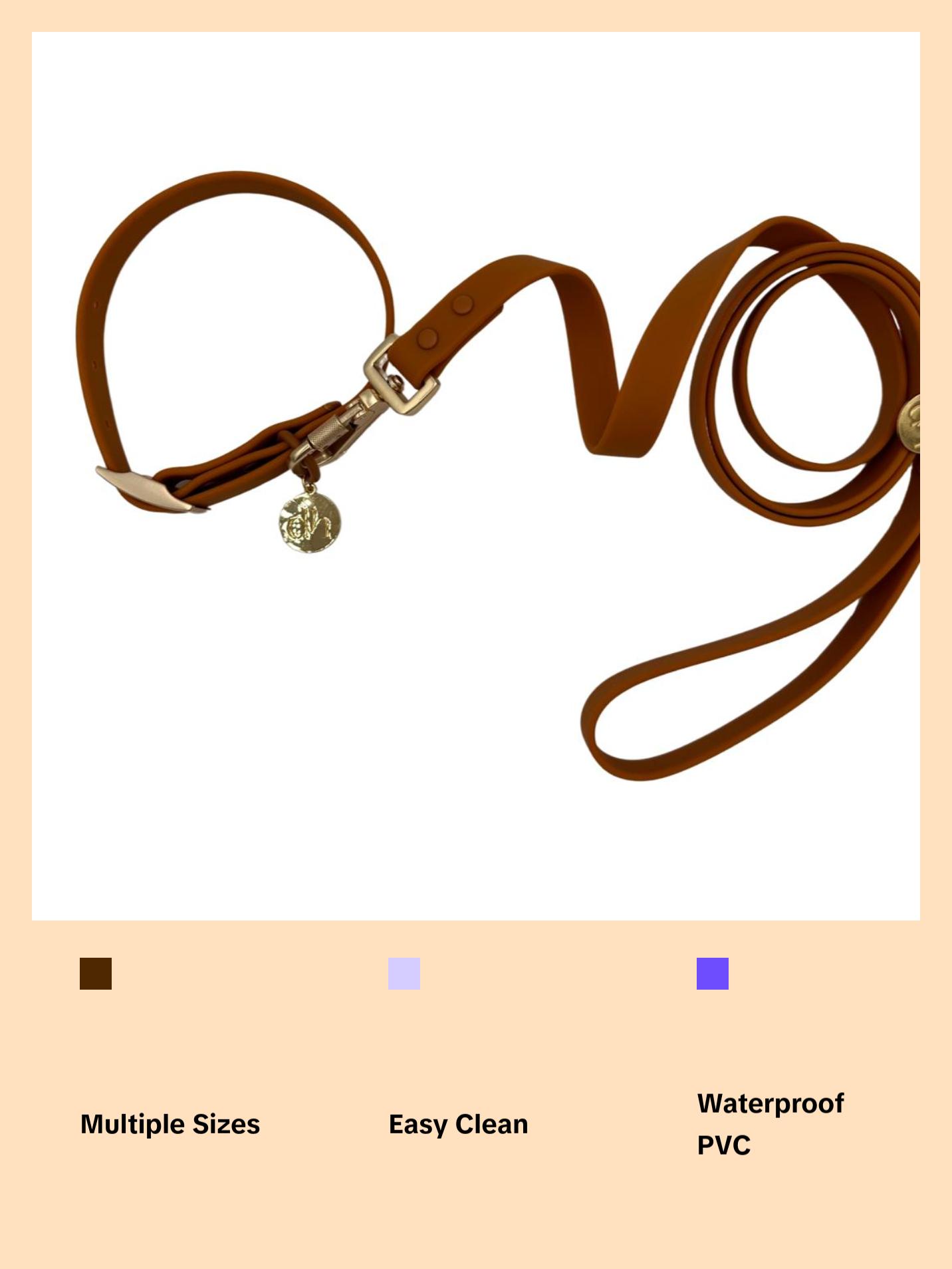 dh Designer PVC Collar & Leash Sets - Stylish Pet Accessories