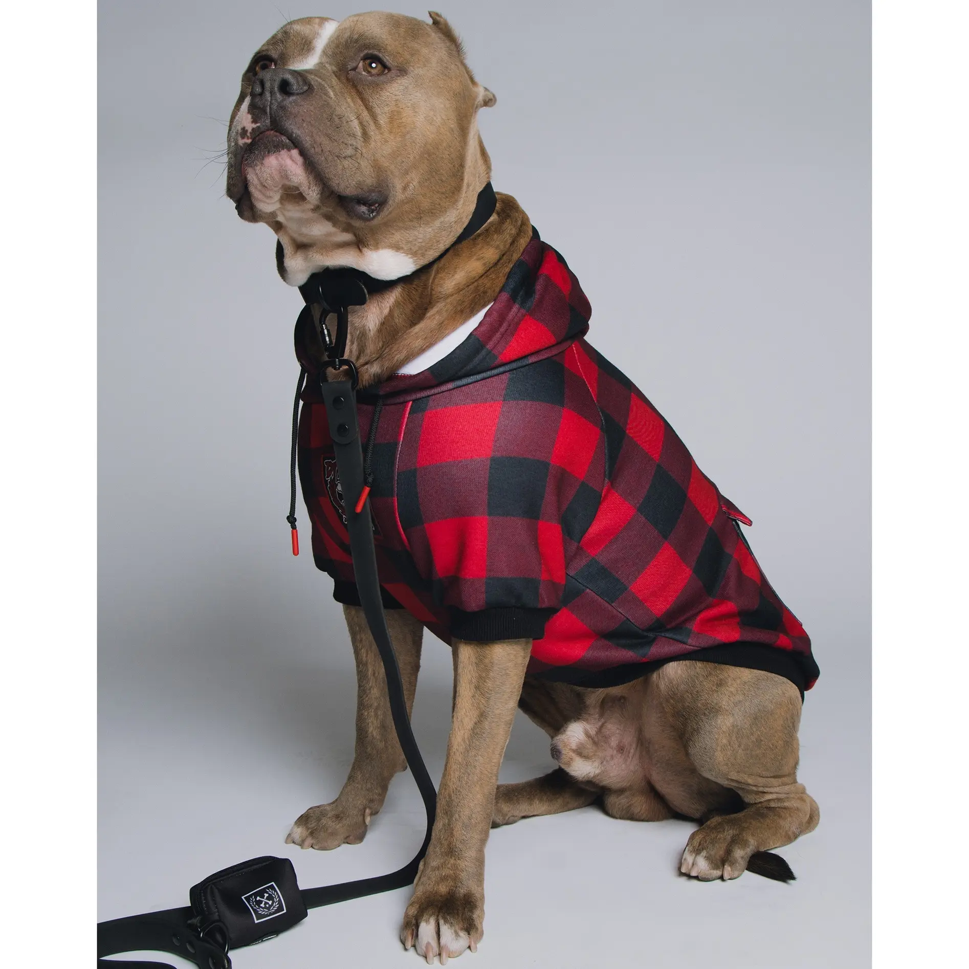 Dog Hoodie - Redrum