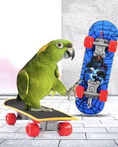 Toys Training Skateboard Stand Perch for Parakeet Budgies Cockatiels Lovebird