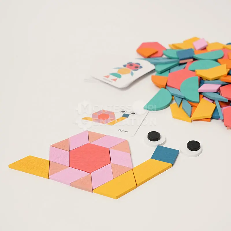Montessori Shape Puzzle Montessori Shape Puzzle