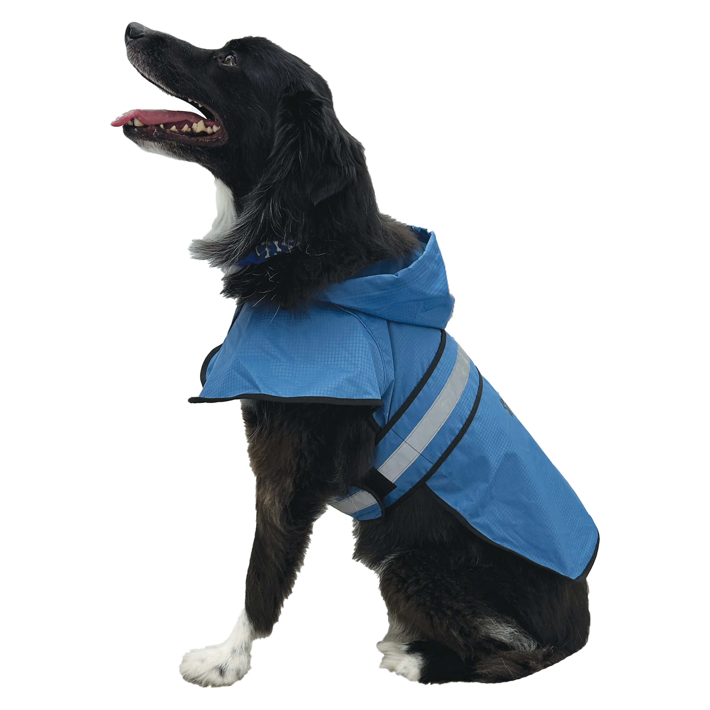 Frogg Toggs® Dogg Toggs Raincoat