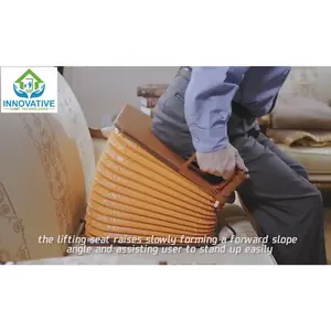 Electric Lifting Cushion Portable Seat Assist with Rechargeable Battery – Lightweight Stand Assist Device up to 220 lbs