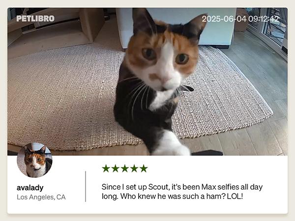 PETLIBRO AI Dog Camera Pet Camera Indoor with Phone App [Multi-Pet Recognition, Daily Activity Analysis & Smart Summaries] Cat Camera 360° View, 1080P Dog Cam Night Vision, 2-Way Audio WiFi Cam Cat