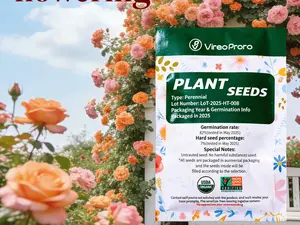 Easy Grow Rose Seeds | Flower Seeds for Home Garden and Backyard Planting