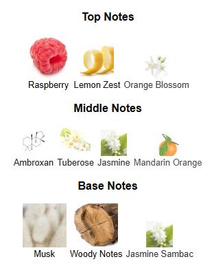 Afnan Historic Doria for Unisex Eau de Parfum, 3.4 Ounce Afnan Historic Doria for Unisex Eau de Parfum, 3.4 Ounce