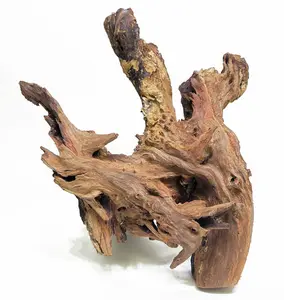 Malaysian Driftwood