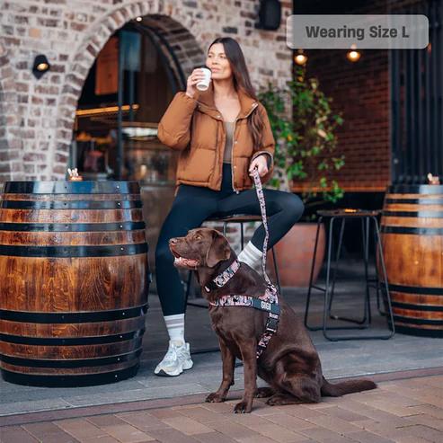 Dog Friendly Co. Harness - Easy to Fit No-Pull Design - Safe Secure and Comfortable - Ideal for All Dogs - Chafe-Resistant Lightweight Straps - Adjustable Straps for Perfect Fit Dog Friendly Co. Harness - Easy to Fit No-Pull Design - Safe Secure and Comfortable - Ideal for All Dogs - Chafe-Resistant Lightweight Straps - Adjustable Straps for Perfect Fit