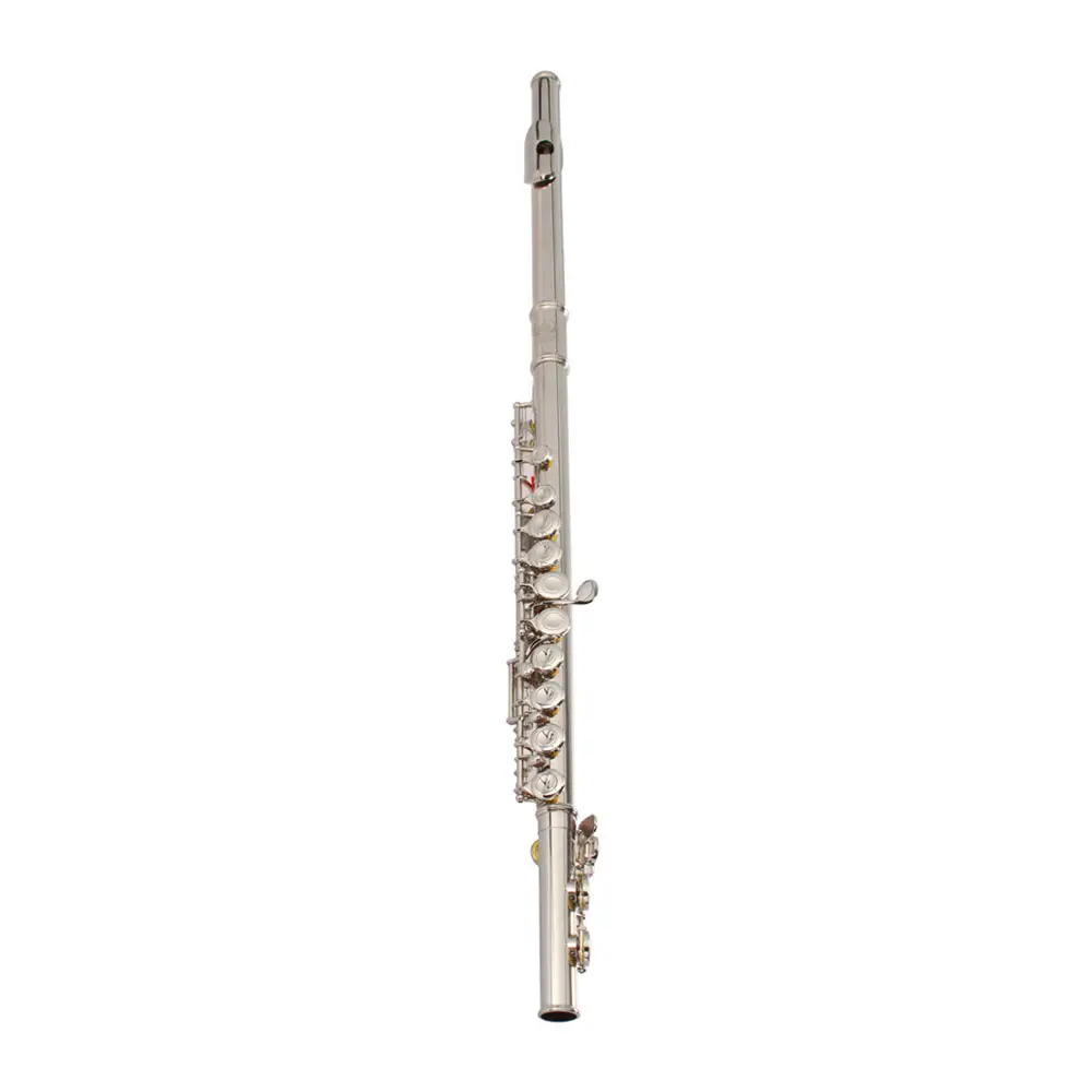 Beginner Student Elegance Flutes & Bb Clarinet Starter Kit - Nickel-Plated C Closed Hole 16-Key 71.6cm Concert Band Flute, Flat Clarinet Set with Mouthpieces & Tuning Rod, Easy to Repair and Maintain Musical Setup